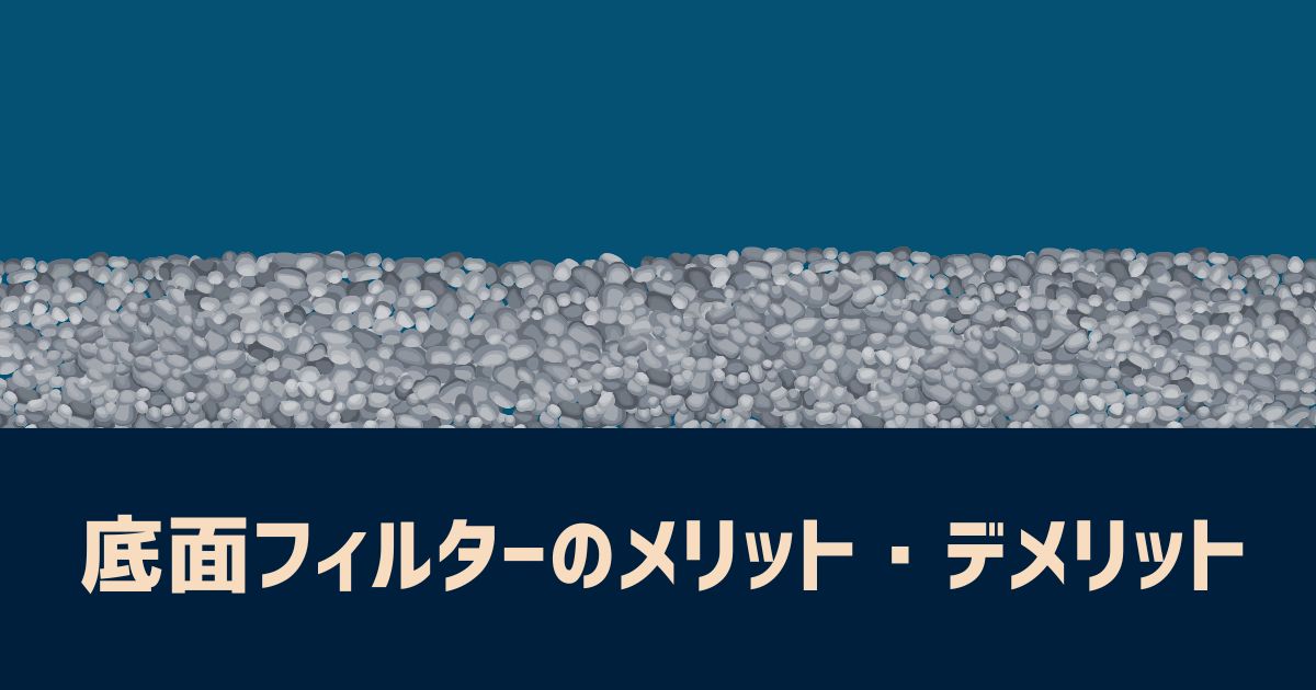 デメリットを潰せば効果絶大 底面フィルター オススメ３選 あくろぐ