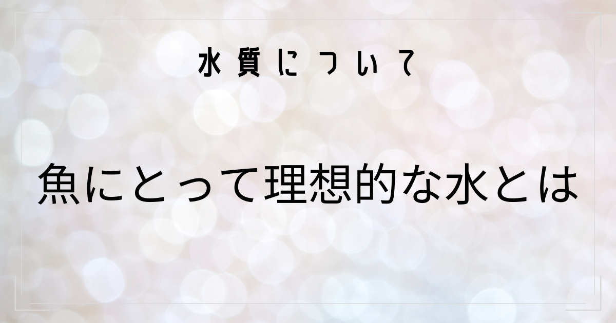 魚にとって理想的な水とは