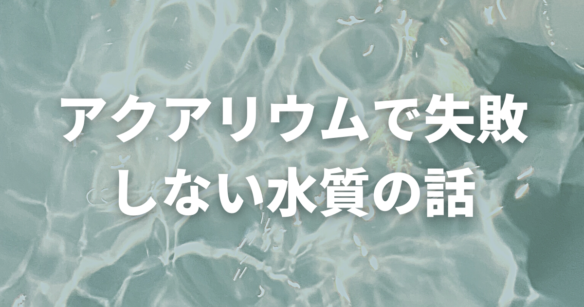 アクアリウムで失敗しない水質の話